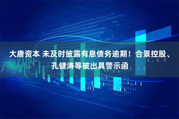 大唐资本 未及时披露有息债务逾期！合景控股、孔健涛等被出具警示函