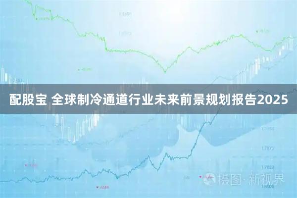 配股宝 全球制冷通道行业未来前景规划报告2025