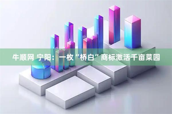 牛顺网 宁阳：一枚“桥白”商标激活千亩菜园